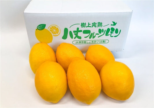 【贈答箱】八丈フルーツレモン　約2kg　優品Sサイズ（多少キズ有）